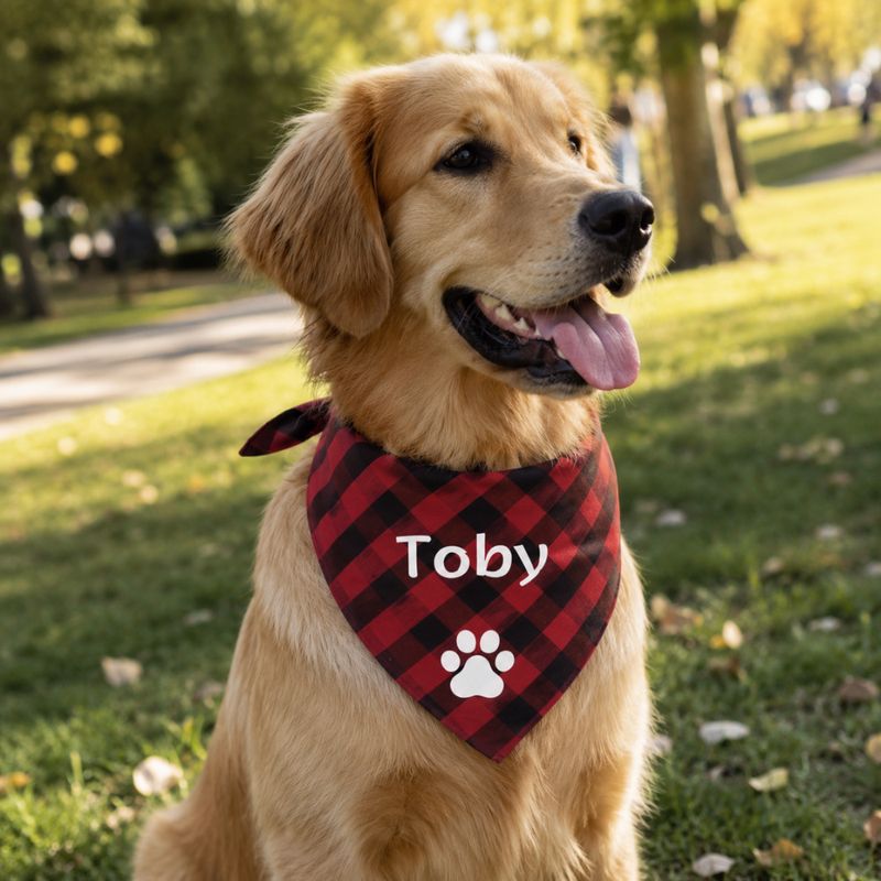CACHIRULO PERSONALIZADO PARA MASCOTAS