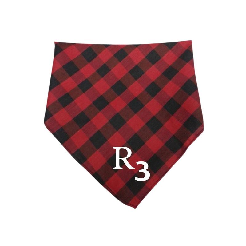 CACHIRULO BORDADO R3