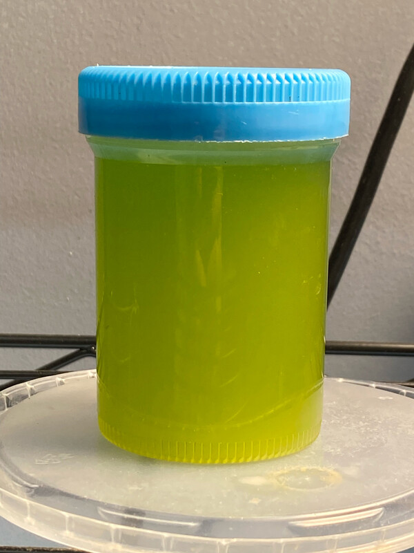 Greenwater Starter Culture 100ML