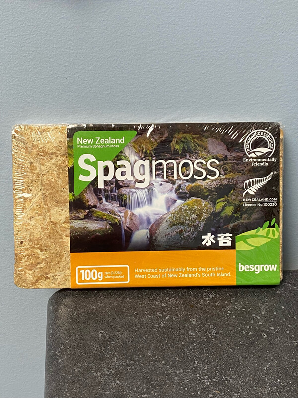 New Zealand Sphagnum Moss 100g