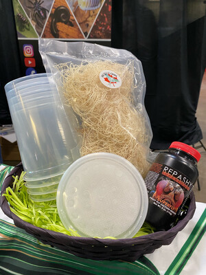Fruit Fly Culture Kit