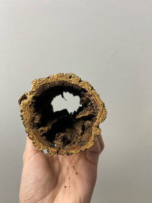 Small Cork Round