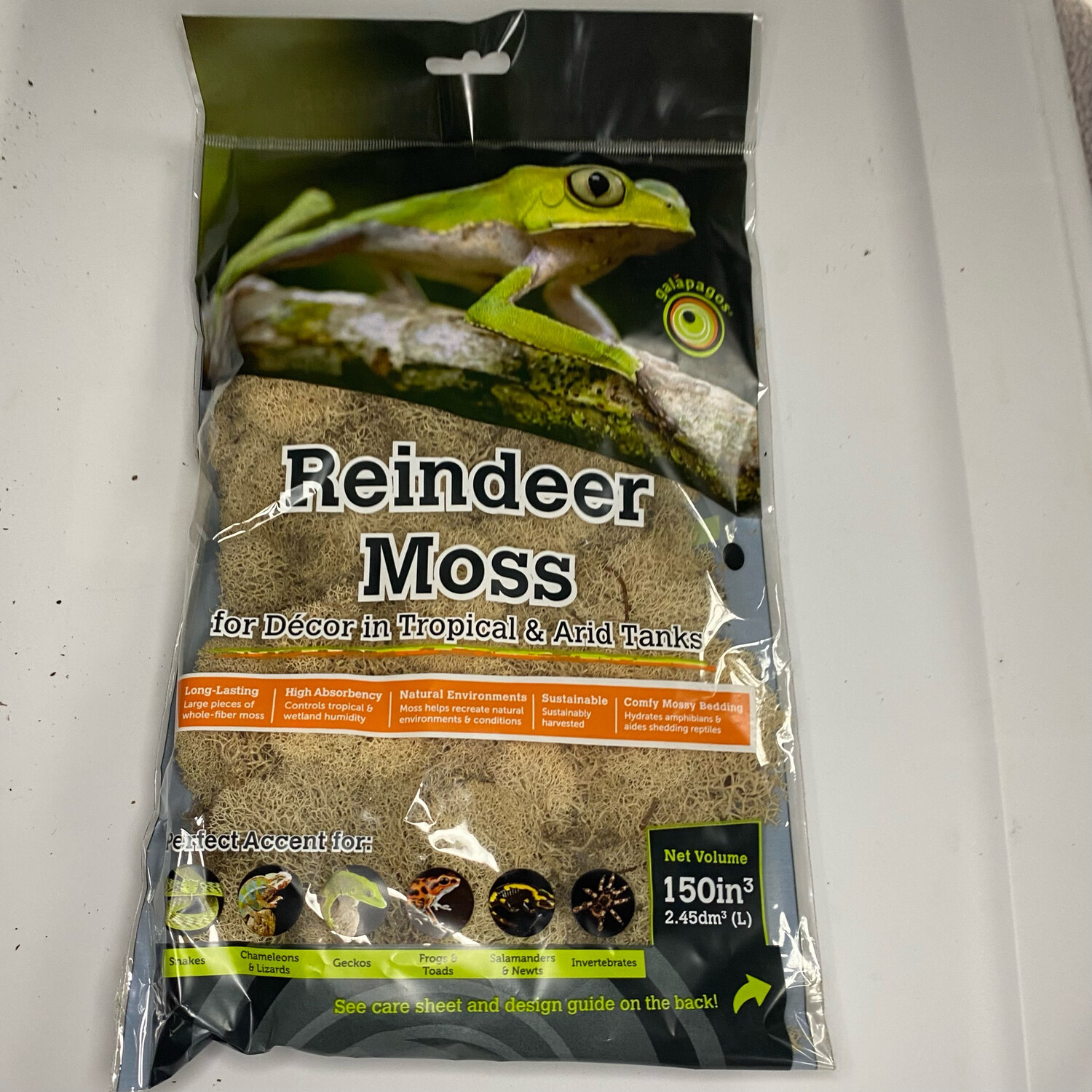 Reindeer Moss, Natural Colour, 150 Cubic Inches