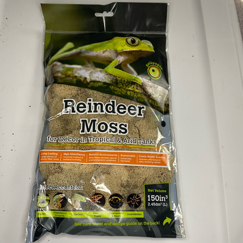 Reindeer Moss, Natural Colour, 150 Cubic Inches