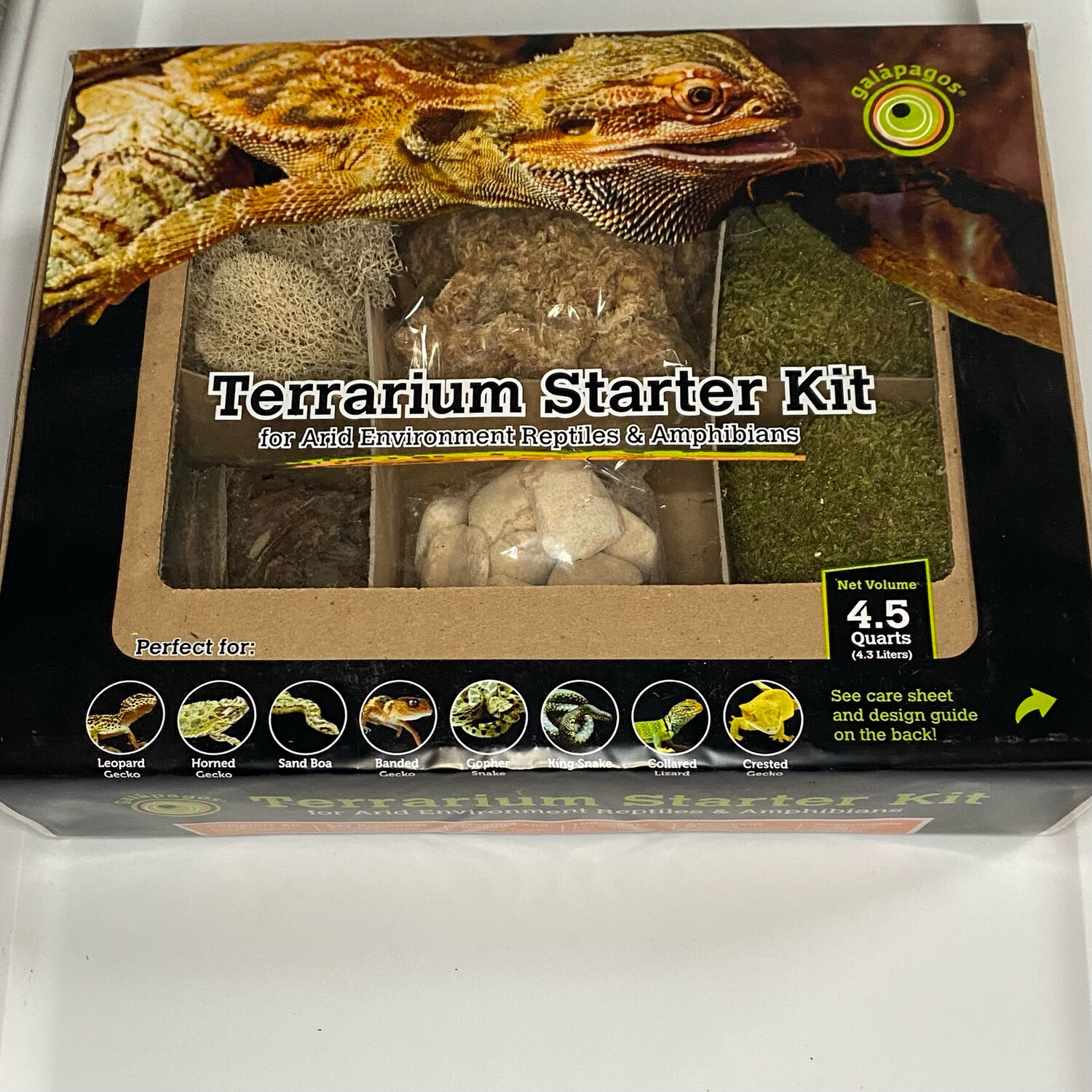 Terrarium Starter Kit For Arid Environments