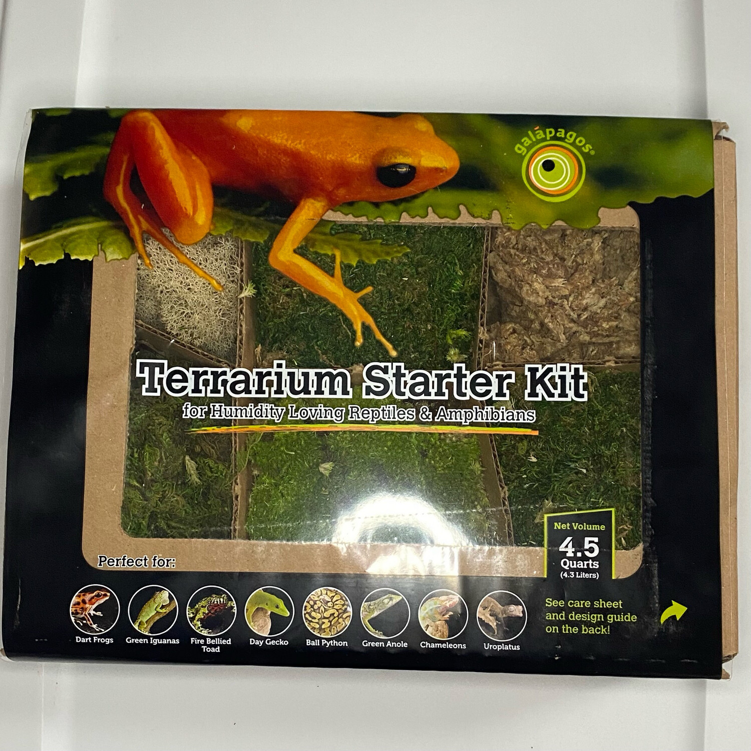 Terrarium Starter Kit For Humid Environments