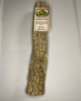 12” Cork Branch