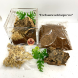 Mini Beasts Terrestrial Interior Setup Kit (For 3x3x3 Or Similar Size Enclosure)