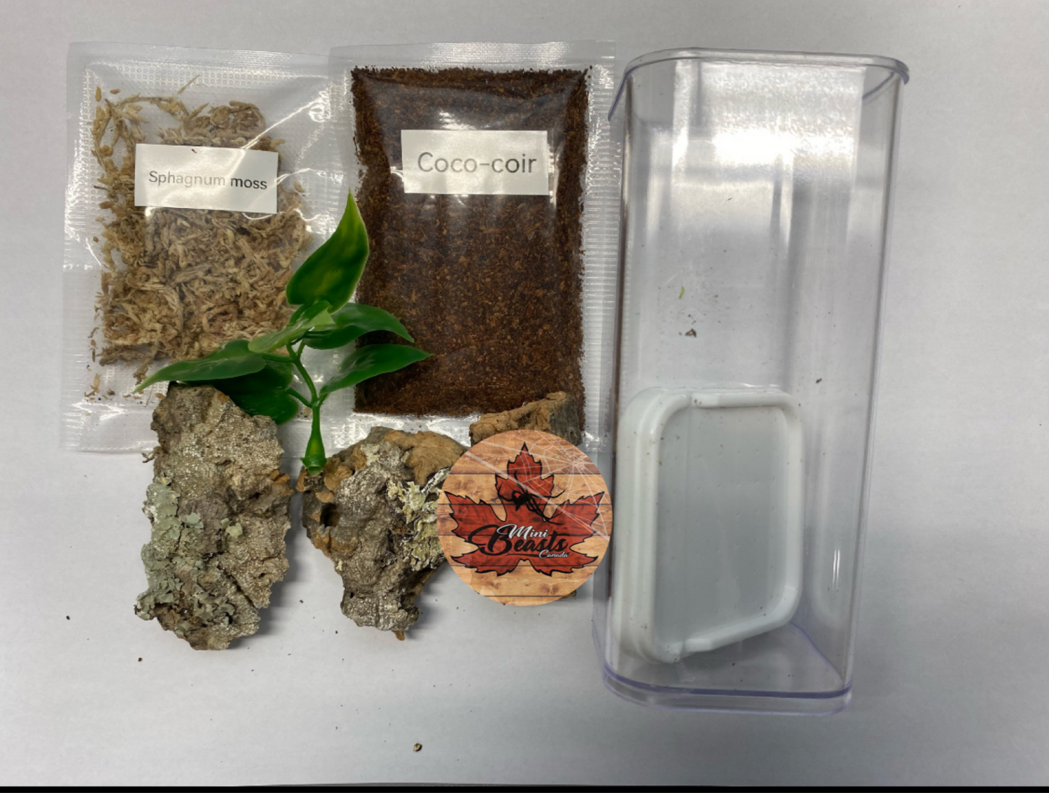 Arboreal Sling Enclosure Starter Kit 2x2x4”