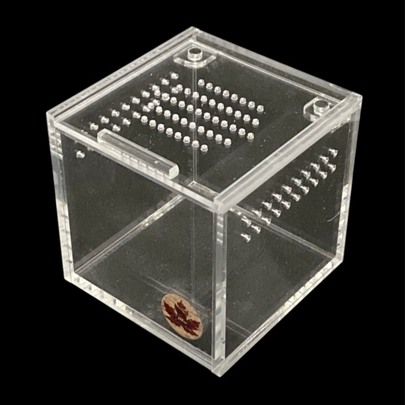 3x3x3 Mini Beasts Canada Sling Cube Enclosure