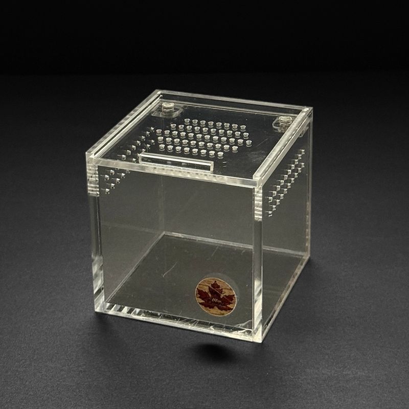 3x3x3 Mini Beasts Canada Sling Cube Enclosure