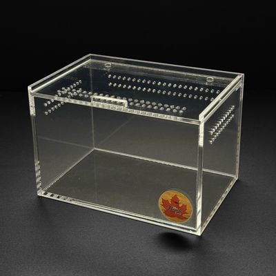 6x4x4” Mini Beasts Canada Terrestrial Sling Enclosure