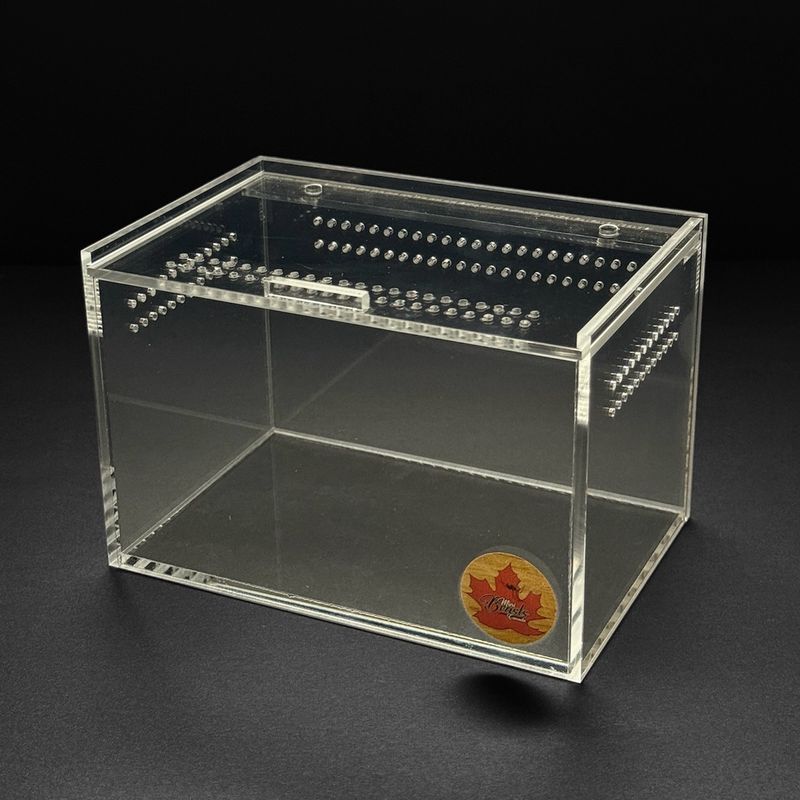 6x4x4” Mini Beasts Canada Terrestrial Sling Enclosure