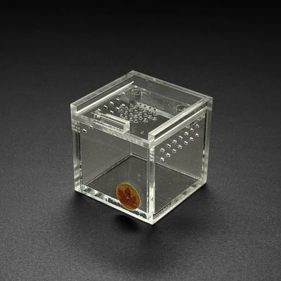 2x2x2” Mini Beasts Canada Nano Sling Cube Enclosure
