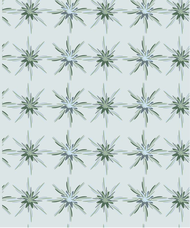Sea Star