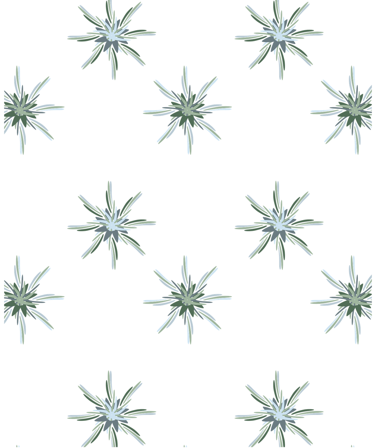 Calm Star