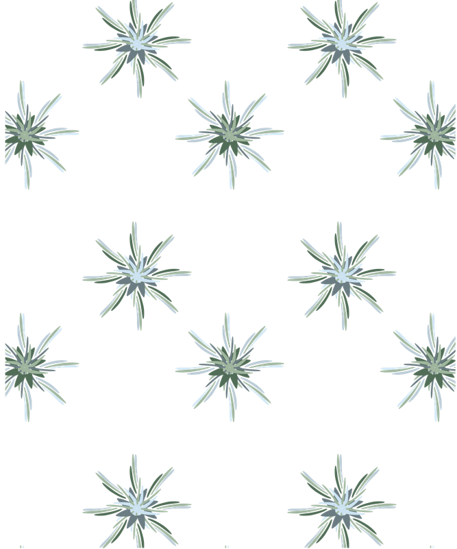 Calm Star