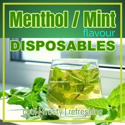 Menthol/Mint Flavour Disposables | Cool & Refreshing Vaping Experience