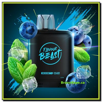 LEVEL X BOOST POD 20ML-BLESSED BLUEBERRY MINT (Ontario Stamped)