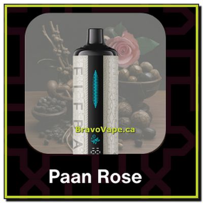 ELF BAR E-SHISHA 30K-PAAN ROSE
