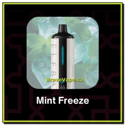 ELF BAR E-SHISHA 30K-MINT FREEZE