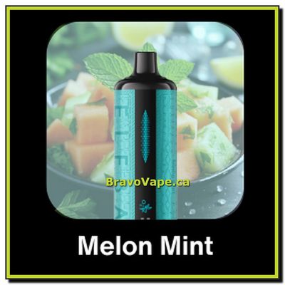 ELF BAR E-SHISHA 30K-MELON MINT