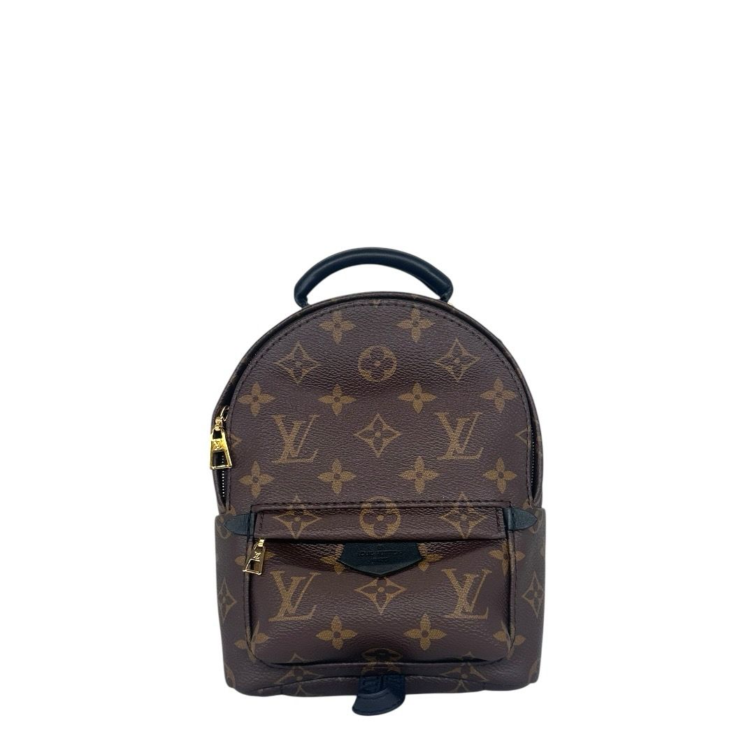 Louis Vuitton Monogram Mini Palm Springs Backpack