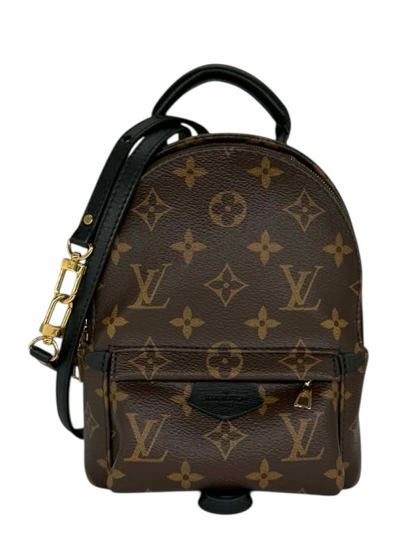 Louis Vuitton Monogram Palm Springs Backpack Mini