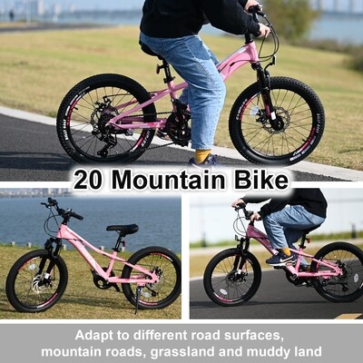 Mountain Bike for Girls and Boys 20-Inch or 22-Inch Shimano 7-Speed Bike 4-Colors Ages 5-12 Years Old, Options: Pink+Aluminium