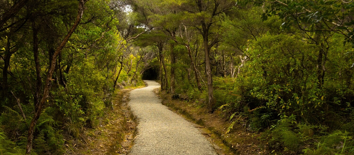 Aotea Track - Trail to what lies beyond