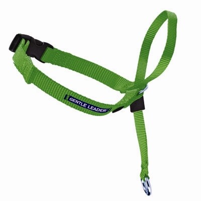 Gentle Leader Headcollar - assorted colors