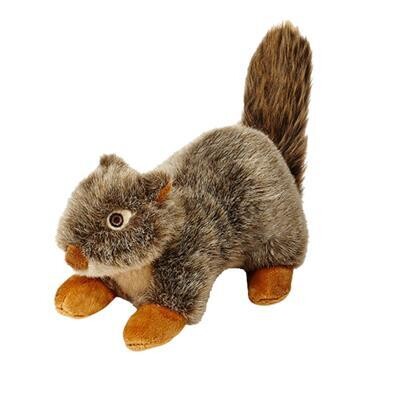 Nuts Squirrel