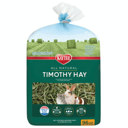 Timothy Hay