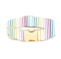 TFD x Simplified® Happy Stripe Dog Collar
