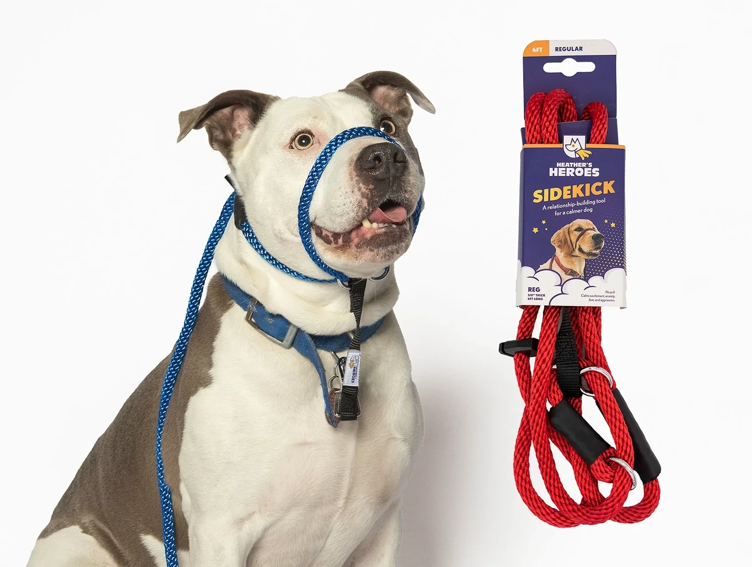 The Sidekick Leash