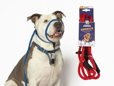 The Sidekick Leash