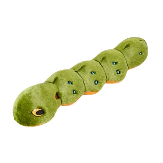 Katie Caterpillar