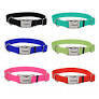 Coastal Metal Buckle Adjustable Nylon Collar Many Colors Available