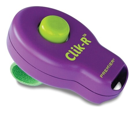 Clik-R™ Training Tool