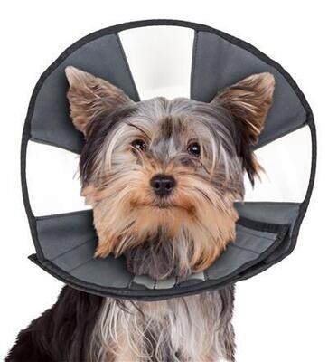 Zen Cone - Soft Recovery Collar
