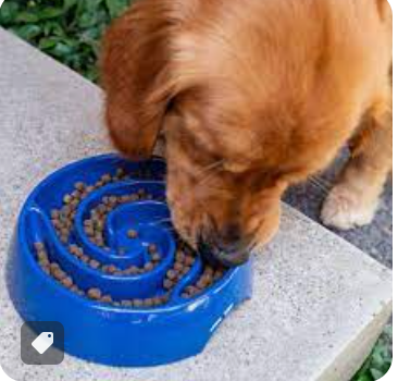 Slow Feeder
