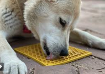 Lickmats
