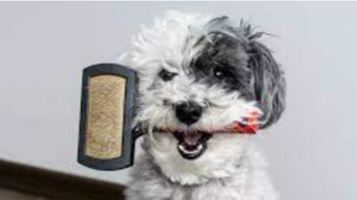 Grooming Supplies