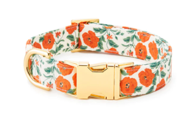 Poppies Dog Collar