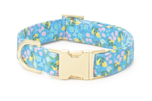 Bees In Bloom Dog Collar