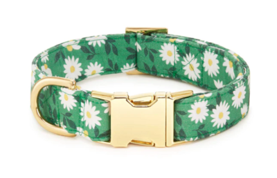 Coming Up Daisies Dog Collar