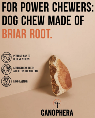 Canophera Briar Root Chew