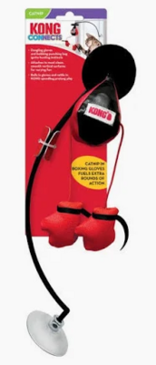 Kong Connects Window Boxing