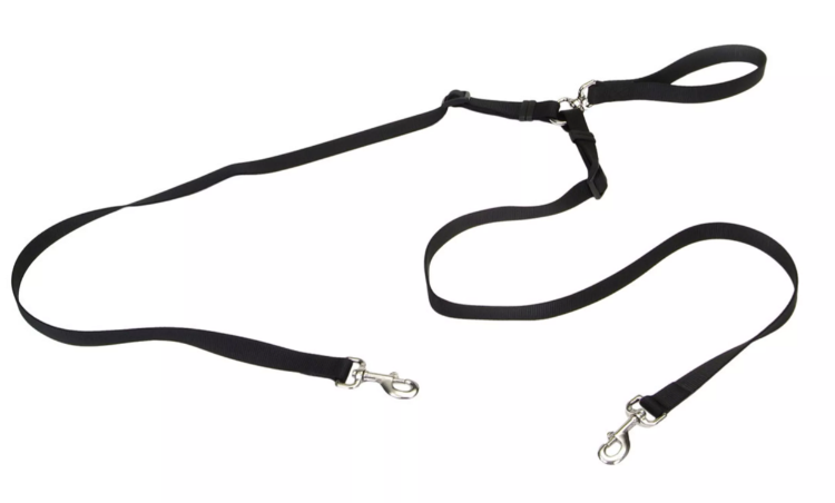 Coastal 2 Dog Walker 4&quot;