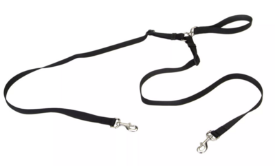 Coastal 2 Dog Walker 4&quot;